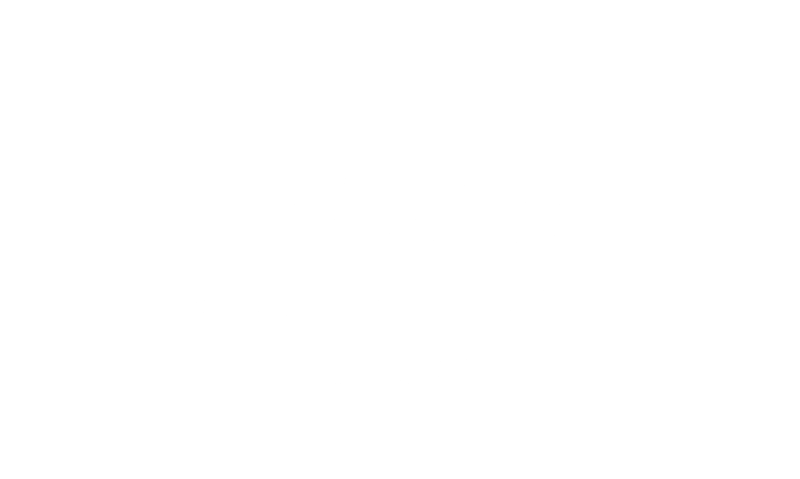 ELSA Torino Logo Bianco